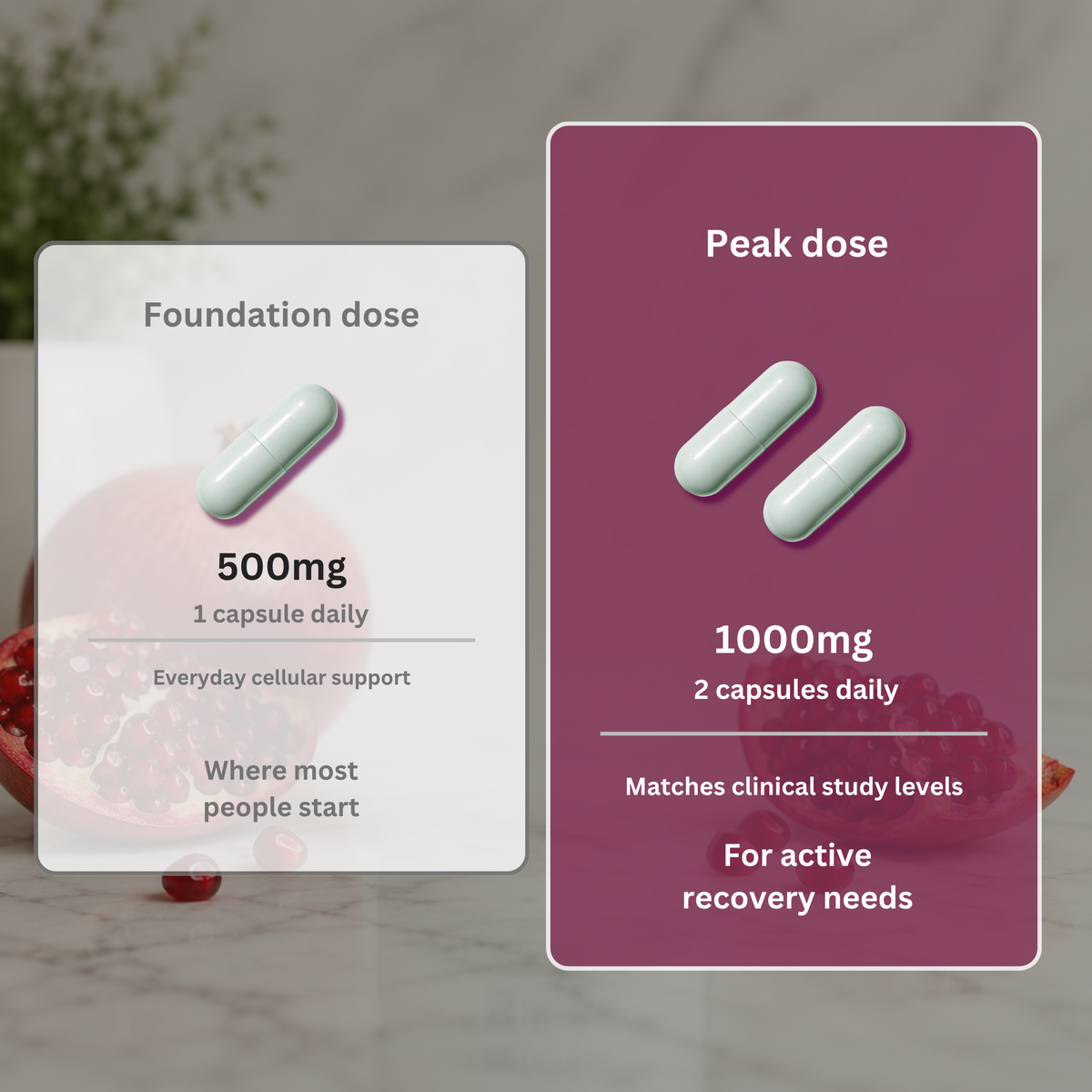 Urolithin A - 500mg | 98% Purity | 60 Capsules